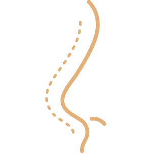 Stem Cell Therapy<br><br>